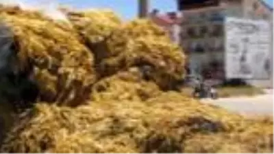 Seyir halindeki traktörün römorkundaki saman balyaları yandı