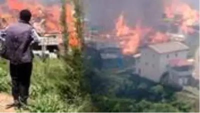 Son dakika: Artvin Dokumacılar köyünde yangın çıktı! Köy evleri alevlere teslim oldu Son dakika: Artvin Dokumacılar köyünde yangın çıktı! Köy evleri alevlere teslim oldu