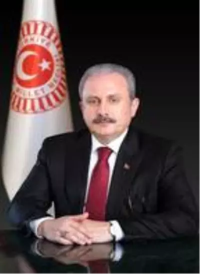 TBMM Genel Kurulu, Meclis başkanı seçimi için toplandı (6)