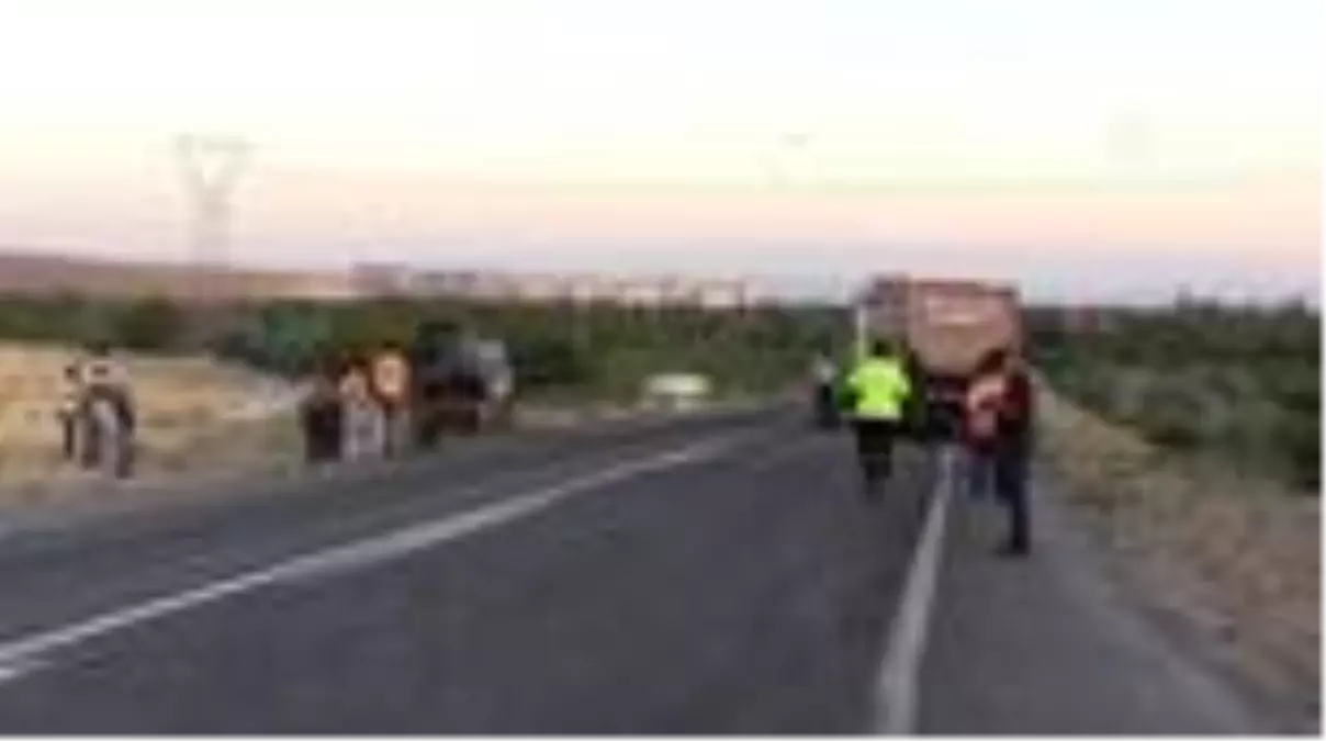 Trafik kazası: 4 yaralı