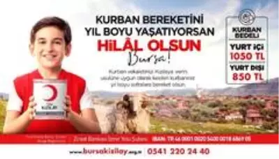 Türk Kızılay Bursa Şubesi bu yıl da kurban bereketini yaşatacak Türk Kızılay Bursa Şubesi bu yıl da kurban bereketini yaşatacak