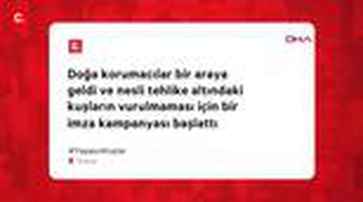 Üveyik ve elmabaş patka için kampanya; #AmanAvcıVurmaBeni