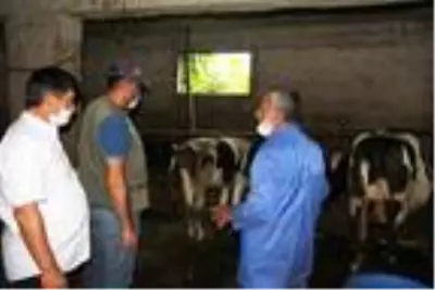 Sakarya'da 14 büyükbaş hayvanın ölmesi 18'inin de hastalanması nedeniyle alım satım işlemlerini durduruldu Sakarya'da 14 büyükbaş hayvanın ölmesi 18'inin de hastalanması nedeniyle alım satım işlemlerini durduruldu