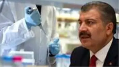 Bakan müjdeyi verdi! Türkiye, koronavirüs tedavisinde kullanılan Favipiravir ilacını üretecek Bakan müjdeyi verdi! Türkiye, koronavirüs tedavisinde kullanılan Favipiravir ilacını üretecek
