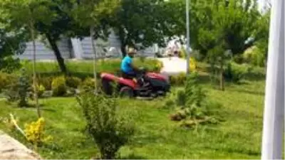 Başiskele'nin yeşil alanlarında doğal ve temiz işler Başiskele'nin yeşil alanlarında doğal ve temiz işler