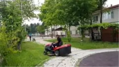Başiskele'nin yeşil alanlarında doğal ve temiz işler Başiskele'nin yeşil alanlarında doğal ve temiz işler