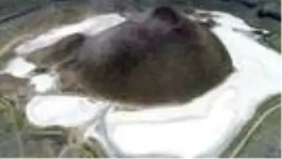 Dünyanın nazar boncuğu Meke Gölü, kurudu kaldı Dünyanın nazar boncuğu Meke Gölü, kurudu kaldı