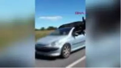 Fransa'da kaçan boğa araca bindirilerek sahibine teslim edildi Fransa'da kaçan boğa araca bindirilerek sahibine teslim edildi