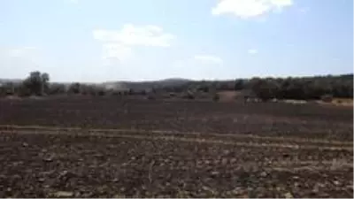 Gelibolu'yu yangından sonra ikinci tehlike bekliyor... Gelibolu'yu yangından sonra ikinci tehlike bekliyor...