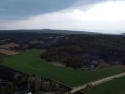 Gelibolu'yu yangından sonra ikinci tehlike bekliyor... Gelibolu'yu yangından sonra ikinci tehlike bekliyor...
