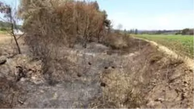 Gelibolu'yu yangından sonra ikinci tehlike bekliyor... Gelibolu'yu yangından sonra ikinci tehlike bekliyor...