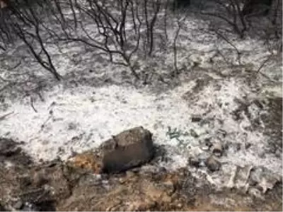 Gelibolu'yu yangından sonra ikinci tehlike bekliyor... Gelibolu'yu yangından sonra ikinci tehlike bekliyor...