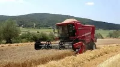Gelibolu'yu yangından sonra ikinci tehlike bekliyor... Gelibolu'yu yangından sonra ikinci tehlike bekliyor...