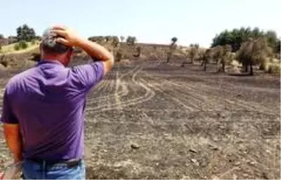 Gelibolu'yu yangından sonra ikinci tehlike bekliyor... Gelibolu'yu yangından sonra ikinci tehlike bekliyor...