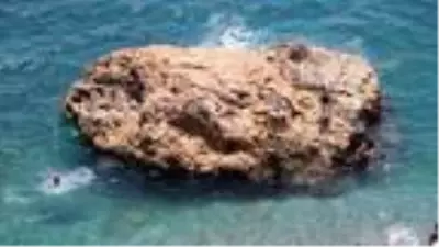 Hobi amaçlı görüntüleme yaparken Antalya'da dünyanın en zehirli balığını kaydetti