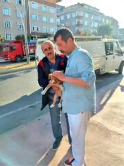 İlkadım'da can dostları için yeni yuva İlkadım'da can dostları için yeni yuva