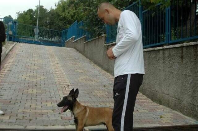 Kahramanmaraş'ta çalınan 'Pablo' isimli köpek Hatay'da bulundu Kahramanmaraş'ta çalınan 'Pablo' isimli köpek Hatay'da bulundu