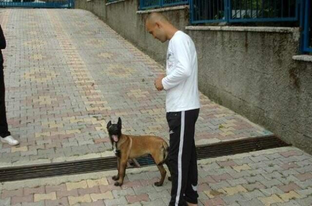 Kahramanmaraş'ta çalınan 'Pablo' isimli köpek Hatay'da bulundu Kahramanmaraş'ta çalınan 'Pablo' isimli köpek Hatay'da bulundu
