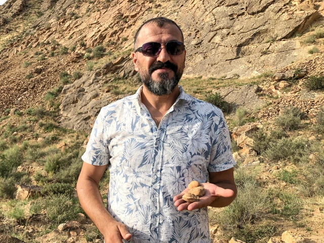 Palmiye fosili bulunan Iğdır'da şimdi de midye fosiline rastlandı ...
