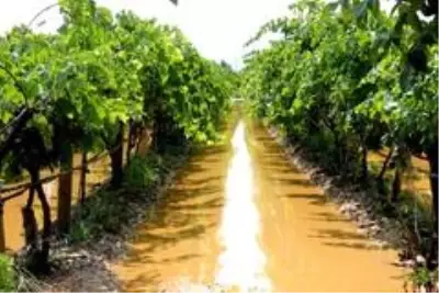 Sarıgöl'de dolu ve fırtına zarara yol açtı