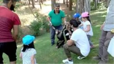Şempanze Can'ın ziyaretçi mutluluğu Şempanze Can'ın ziyaretçi mutluluğu