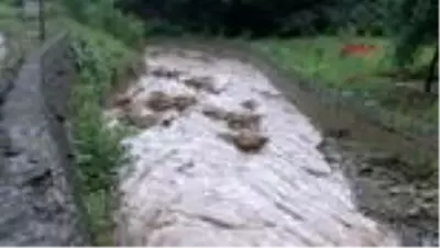 TRABZON Doğu Karadeniz'de sağanak etkili oluyor TRABZON Doğu Karadeniz'de sağanak etkili oluyor