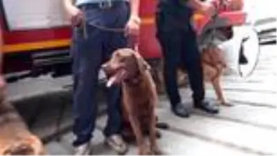Yıldız Arama Kurtarma ekibinin yeni üyeleri Yıldız Arama Kurtarma ekibinin yeni üyeleri