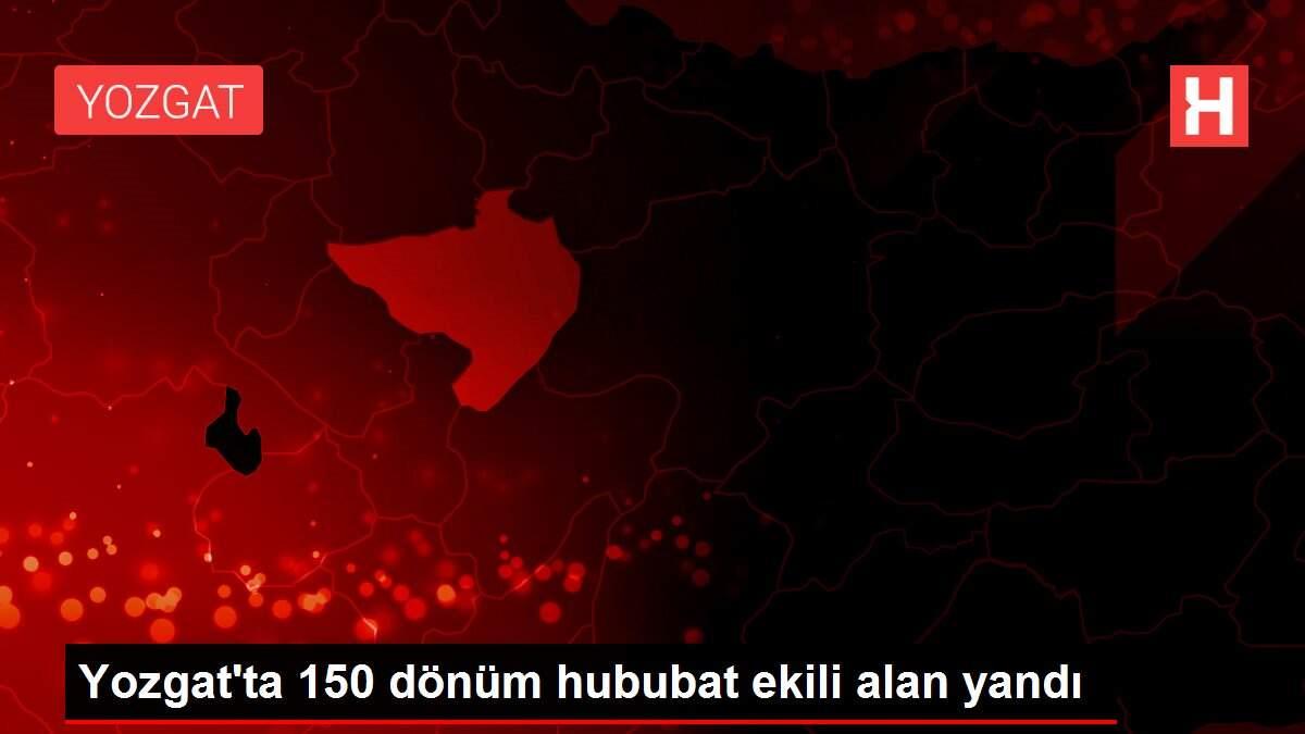 Yozgat'ta 150 dönüm hububat ekili alan yandı Yozgat'ta 150 dönüm hububat ekili alan yandı