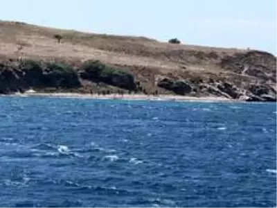 Ayvalık'ta 57 düzensiz göçmen kurtarıldı Ayvalık'ta 57 düzensiz göçmen kurtarıldı