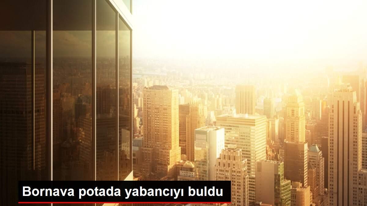 Bornava potada yabancıyı buldu Bornava potada yabancıyı buldu