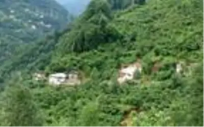 Doğu Karadeniz'de sağanak, sel ve heyelana yol açtı, ev çöktü, yollar kapandı Doğu Karadeniz'de sağanak, sel ve heyelana yol açtı, ev çöktü, yollar kapandı
