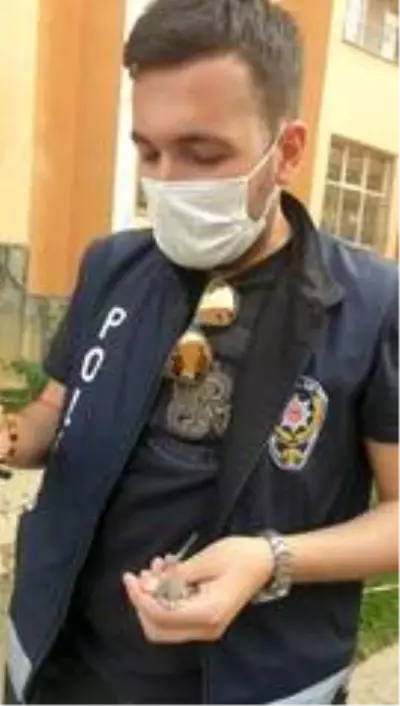 Hakkari polisinin hayvan sevgisi Hakkari polisinin hayvan sevgisi