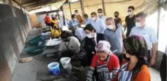 Tandır Ekmeği: İŞKUR projesi ile iş sahibi olan eski hükümlü 19 kişiye de iş imkanı sağladı Tandır Ekmeği: İŞKUR projesi ile iş sahibi olan eski hükümlü 19 kişiye de iş imkanı sağladı
