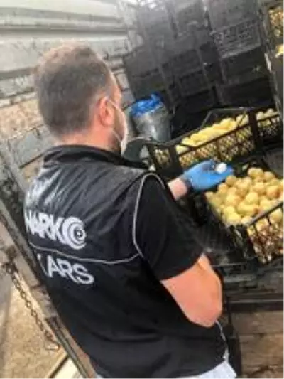 Kars'ta kayısı kasasından uyuşturucu çıktı Kars'ta kayısı kasasından uyuşturucu çıktı