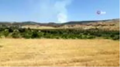 Kilis’te korkutan orman yangını
