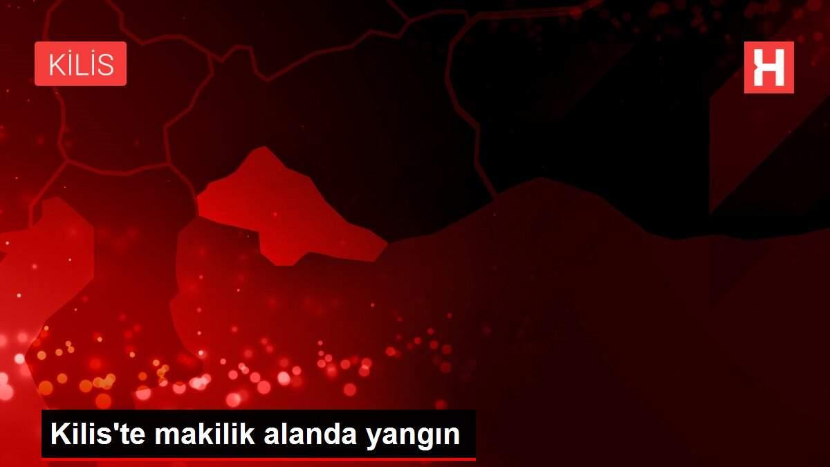 Kilis'te makilik alanda yangın