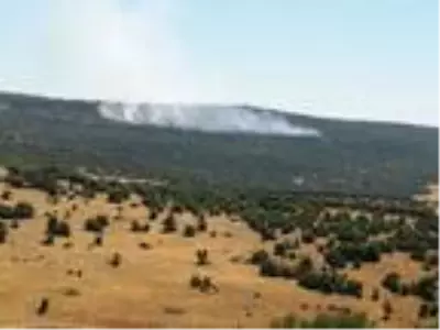 Kilis'te orman yangını Kilis'te orman yangını