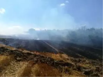 Manyas'ta anız yangını korkuttu Manyas'ta anız yangını korkuttu