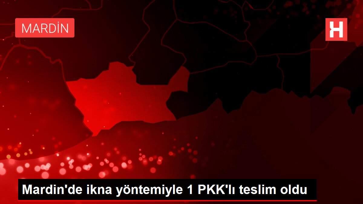 Mardin'de ikna yöntemiyle 1 PKK'lı teslim oldu