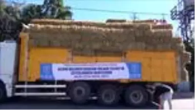 Silivri’de hayvancılıkla uğraşan köylüye ücretsiz saman dağıtıldı