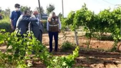 Vali Karadeniz Alaşehir'de incelemelerde bulundu Vali Karadeniz Alaşehir'de incelemelerde bulundu