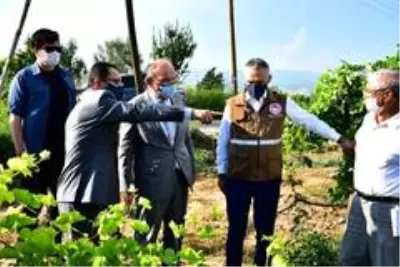 Vali Karadeniz Alaşehir'de incelemelerde bulundu Vali Karadeniz Alaşehir'de incelemelerde bulundu