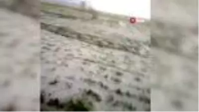 Yozgat'ta dolu yağışı 20 bin dekar ekili alana zarar verdi Yozgat'ta dolu yağışı 20 bin dekar ekili alana zarar verdi