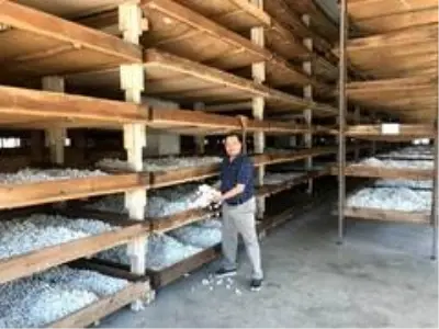 40 günde 15 bin lira kazandıran meslek