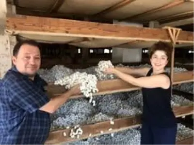 40 günde 15 bin lira kazandıran meslek