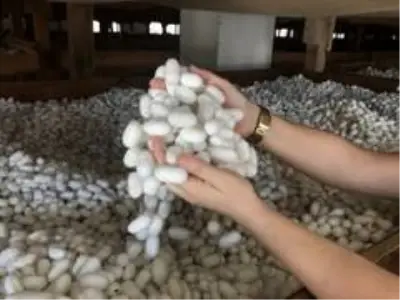 40 günde 15 bin lira kazandıran meslek