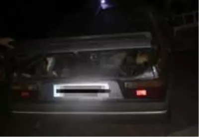 Aracın bagajında av köpekleriyle yakalandılar
