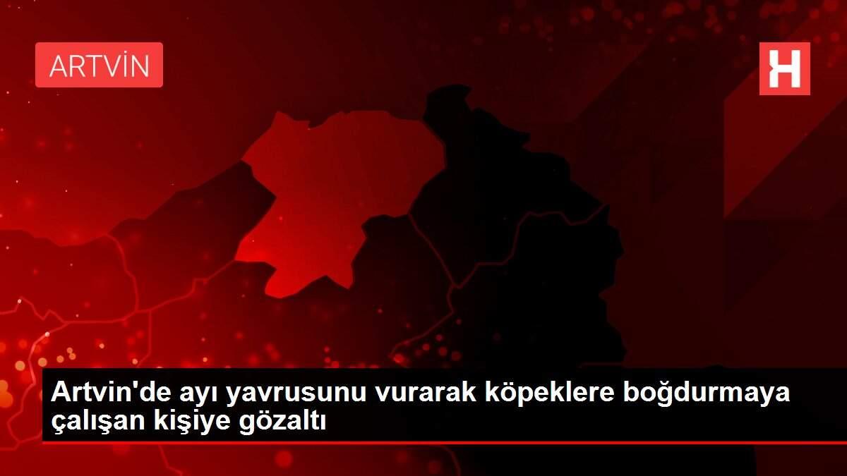 Artvin'de ayı yavrusunu vurarak köpeklere boğdurmaya çalışan kişiye gözaltı Artvin'de ayı yavrusunu vurarak köpeklere boğdurmaya çalışan kişiye gözaltı
