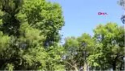 AYDIN Kurşunlu Manastırı'ndaki çökme tehlikesi devam ediyor AYDIN Kurşunlu Manastırı'ndaki çökme tehlikesi devam ediyor