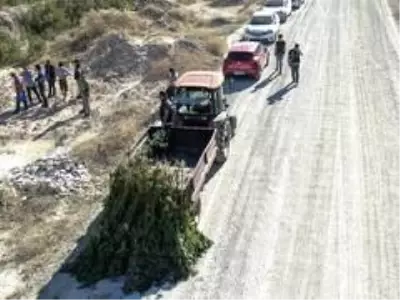 Balıkesir'de İHA destekli narkotik operasyonu Balıkesir'de İHA destekli narkotik operasyonu